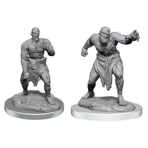 D&D Nolzur's Marvelous Unpainted Miniatures: Wave 17: Flesh Golems