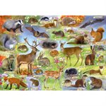Puzzle: 500 British Wildlife
