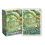 Sleeves: Dragon Shield: Gaea in Bloom: Omar Rayyan (No Amazon Sales) ^ Q2 2024