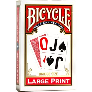 Bicycle Bridge Size Large Print