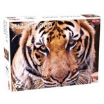 Puzzle: 1000 Tiger Portrait (No Amazon Sales) ^ Q3 2024