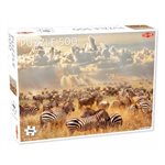 Puzzle: 500 Zebra Herd (No Amazon Sales) ^ Q3 2024