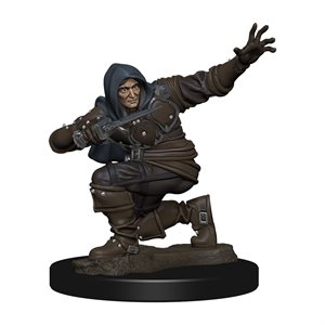 Pathfinder Battles Minis: Premium Painted Figures Wave 1: Human Rogue Male