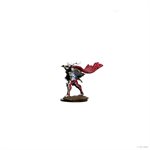 Pathfinder Battles: Premium Painted Figures: Wave 2: Elf Paladin Female
