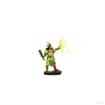 Pathfinder Battles: Premium Painted Figures: Wave 2: Half-Orc Druid Male