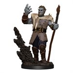 D&D Nolzur's Marvelous Unpainted Miniatures: Wave 11: Male Firbolg Druid