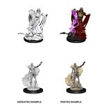 D&D Nolzur's Marvelous Unpainted Miniatures: Wave 11: Lich & Mummy Lord