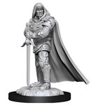 D&D Nolzur's Marvelous Unpainted Miniatures: Wave 13: Human Paladin Male