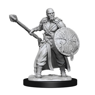 D&D Nolzur's Marvelous Unpainted Miniatures: Wave 13: Human Barbarian Male