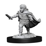 D&D Nolzur's Marvelous Unpainted Miniatures: Wave 13: Halfling Rogue Male