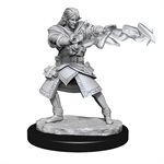 D&D Nolzur's Marvelous Unpainted Miniatures: Wave 13: Elf Wizard Male