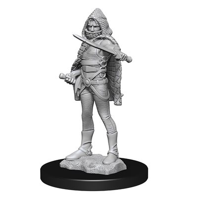 D&D Nolzur's Marvelous Unpainted Miniatures: Wave 13: Darkling Elder & Darklings