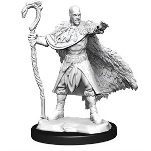 D&D Nolzur's Marvelous Unpainted Miniatures: Wave 14: Human Druid Male