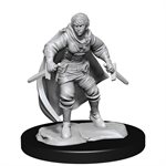 D&D Nolzur's Marvelous Unpainted Miniatures: Wave 14: Half-Elf Rogue  Female