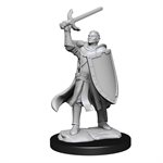 D&D Nolzur's Marvelous Unpainted Miniatures: Wave 14: Half-Elf Paladin Male