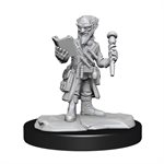 D&D Nolzur's Marvelous Unpainted Miniatures: Wave 14: Gnome Artificer Male