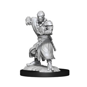 D&D Nolzur's Marvelous Unpainted Miniatures: Wave 14: Warforged Monk