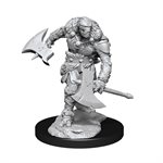 D&D Nolzur's Marvelous Unpainted Miniatures: Wave 14: Warforged Barbarian