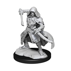 D&D Nolzur's Marvelous Unpainted Miniatures: Wave 14: Warforged Rogue