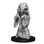 D&D Nolzur's Marvelous Unpainted Miniatures: Wave 14: Night Hag & Dusk Hag