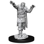 D&D Nolzur's Marvelous Unpainted Miniatures: Wave 14: Scarecrow & Stone Cursed