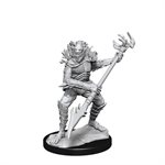 D&D Nolzur's Marvelous Unpainted Miniatures: Wave 14: Koalinths