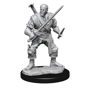 D&D Nolzur's Marvelous Unpainted Miniatures: Wave 15: Human Bard Male