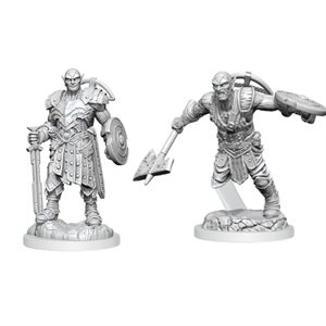 D&D Nolzur's Marvelous Unpainted Miniatures: Wave 20: Earth Genasi Fighter