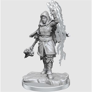 D&D Nolzur's Marvelous Unpainted Miniatures: Wave 20: Half-Elf Warlock