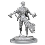 D&D Nolzur's Marvelous Unpainted Miniatures: Wave 19: Nosferatu