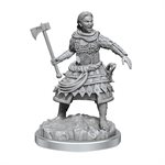 D&D Nolzur's Marvelous Unpainted Miniatures: Wave 21: Human Fighters