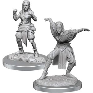 Pathfinder Deep Cuts Unpainted Miniatures: Wave 21: Half-Elf Monk Female