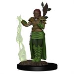 D&D Icons of the Realms: Wave 2: Human Female Druid