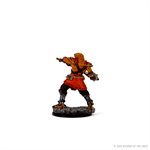 D&D Icons of the Realms: Wave 3: Male Dragonborn Fighter