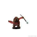 D&D Icons of the Realms: Wave 3: Male Tortle Monk