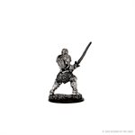 D&D Icons of the Realms: Wave 3: Male Human Fighter