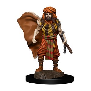 D&D Icons of the Realms: Wave 4: Human Druid Male