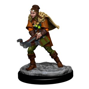 D&D Icons of the Realms: Wave 5: Human Ranger Female