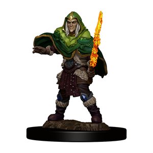 D&D Icons of the Realms: Wave 5: Elf Fighter Male