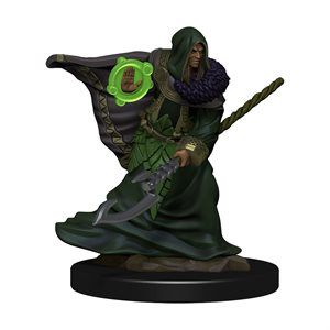 D&D Icons of the Realms: Wave 5: Elf Druid Male