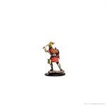 D&D Icons of the Realms: Wave 6: Human Monk Female