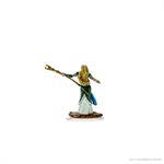 D&D Icons of the Realms: Female Elf Sorcerer