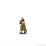 D&D Icons of the Realms: Female Human Druid