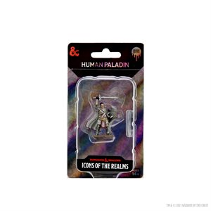 D&D Icons of the Realms Premium Figures: Male Human Paladin ^ OCT 27 2021