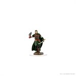 D&D Icons of the Realms: Male Elf Ranger