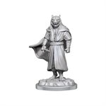 Critical Role Unpainted Miniatures: Wave 3: Male Human Sorcerer Merchant & Tiger Demon
